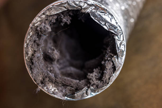 Best Affordable Duct Cleaning Services  in Riverside, MD